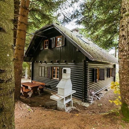 Chalet Liza & Rozi Zgornja Loznica Kültér fotó