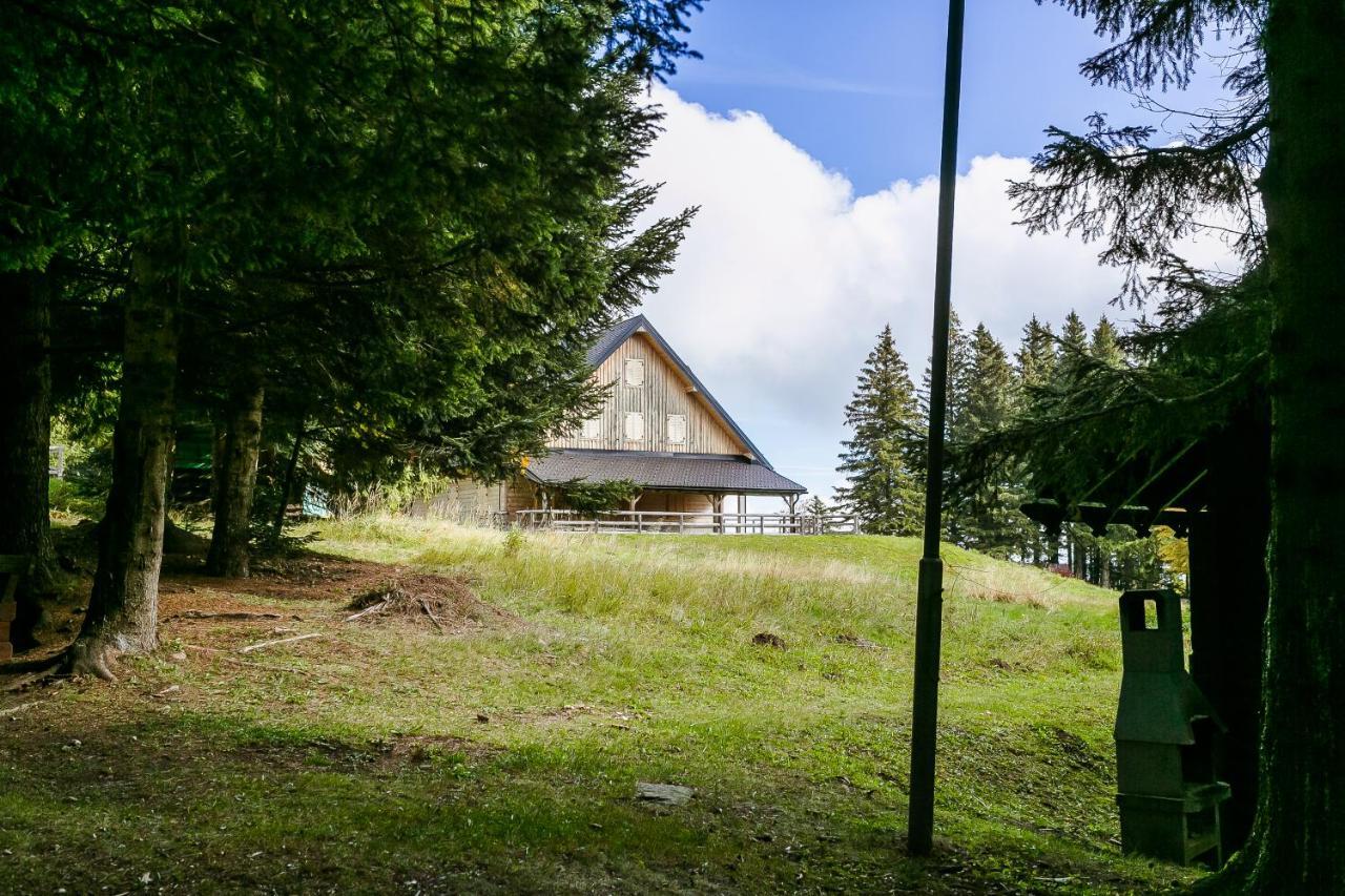 Chalet Liza & Rozi Zgornja Loznica Kültér fotó